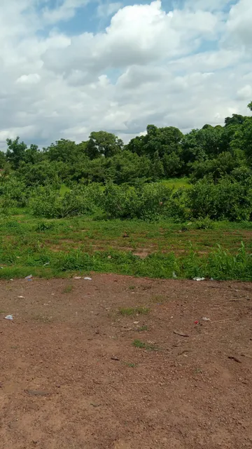 place image