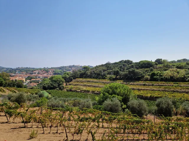 Azienda Agricola Arrighi