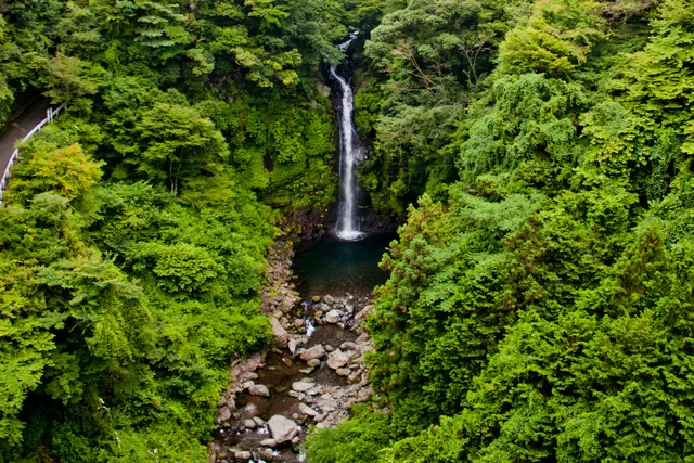 Bungy Japan Fuji Bungy
