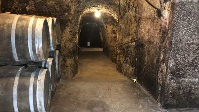 Bodegas Carlos San Pedro Pérez de Viñaspre
