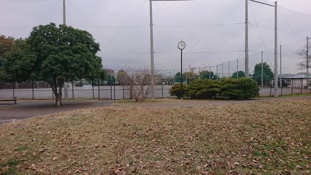 Toyoda Central Park