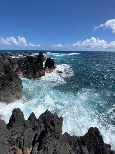 Laupahoehoe Beach Park