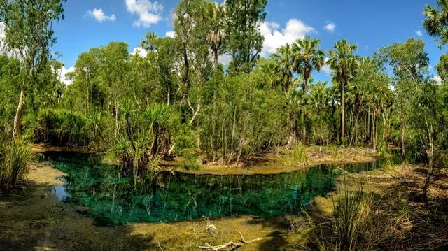 Mataranka Thermal Pool and Rainbow Springs