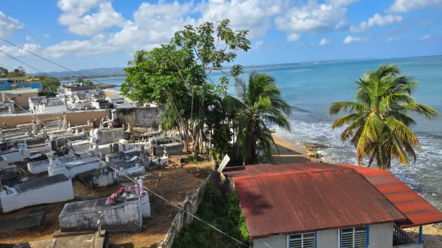 Tropical Beach House