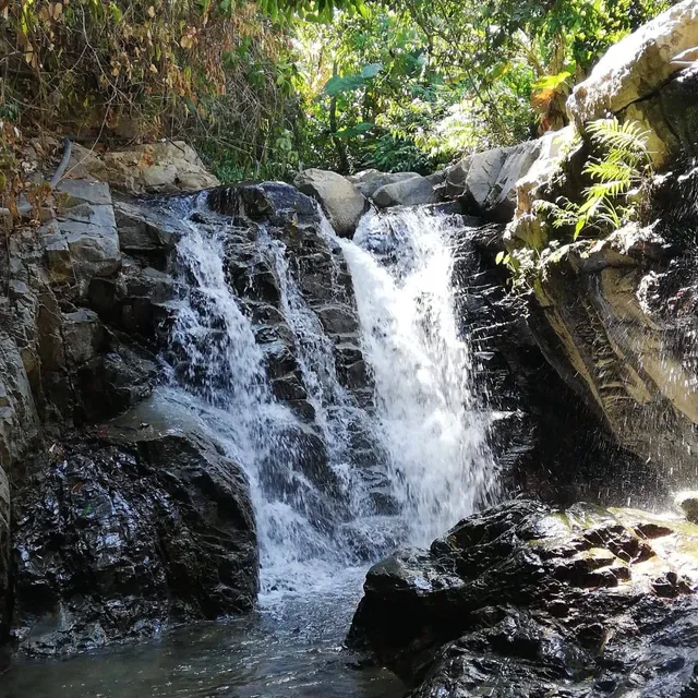 Finca la cascada