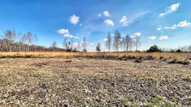 Lehrpfad "moor land schaffen"
