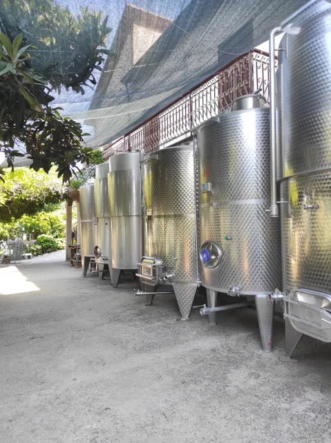 Cantina Perillo (Michele Perillo)