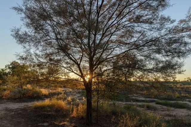 Bladensburg National Park