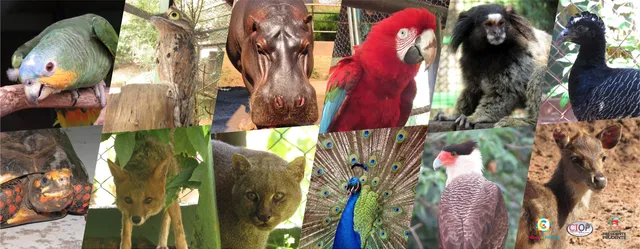 Parque Aquático Cidade da Criança