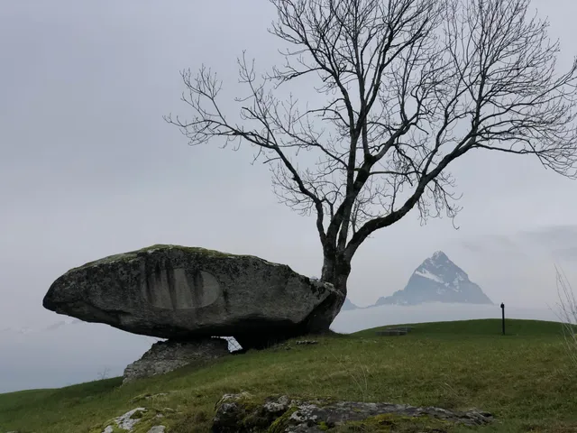 Druidenstein Morschach