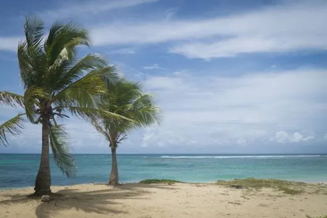 Plage des Raisins Clairs