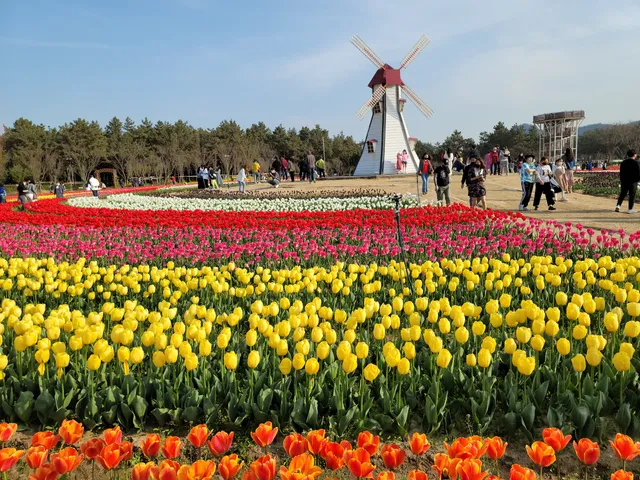 Sinan Tulip Festival