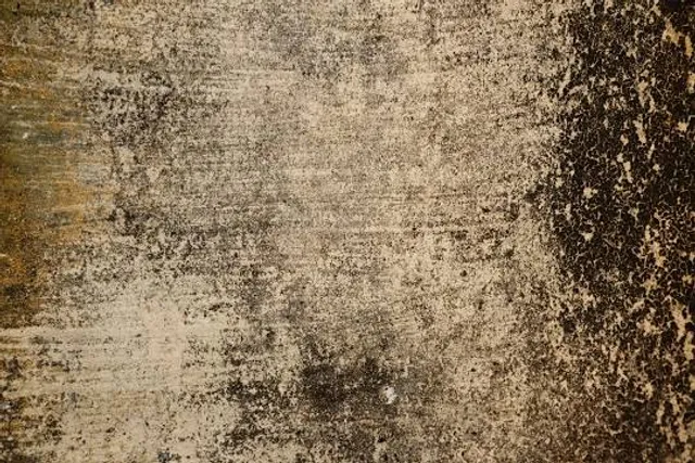 Belomorskiye Petroglify, Belomorskiy Rayonnyy Krayevedcheskiy Muzey