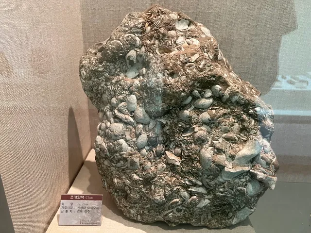 Gonam Shell Mound Museum