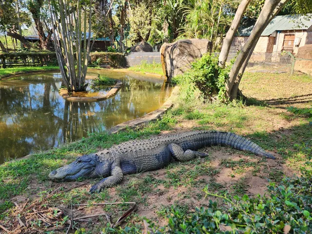 Perry's Bridge Reptile Park