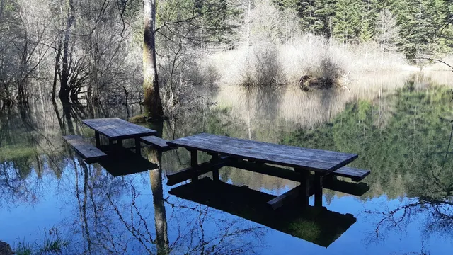 Izvir Ribnice (Podgora)