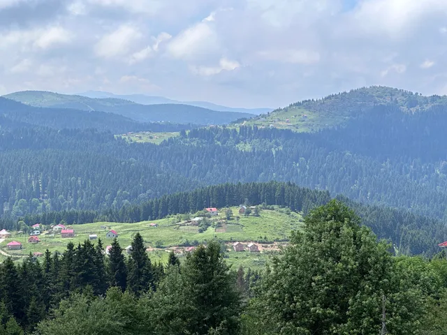 Paşakonağı Yaylası