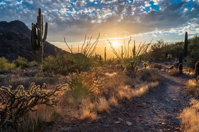 Gateway Trailhead - McDowell Sonoran Preserve