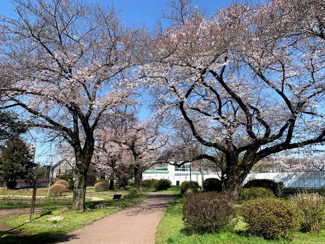 Kotobuki Central Park