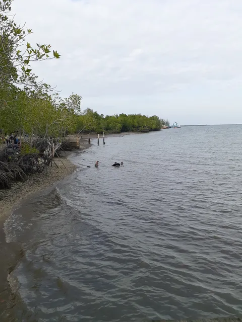Wisata Pantai Buatan Kuala Langsa