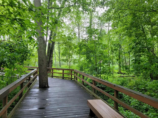 Great Baehre Swamp Wildlife Management Area