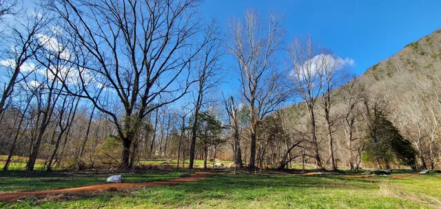 Vee hollow mountain biking skills course