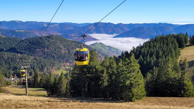 Verwaltungsverband Schönau im Schwarzwald
