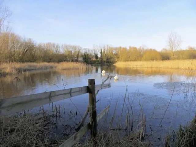 Magor Marsh - Gwent Wildlife Trust