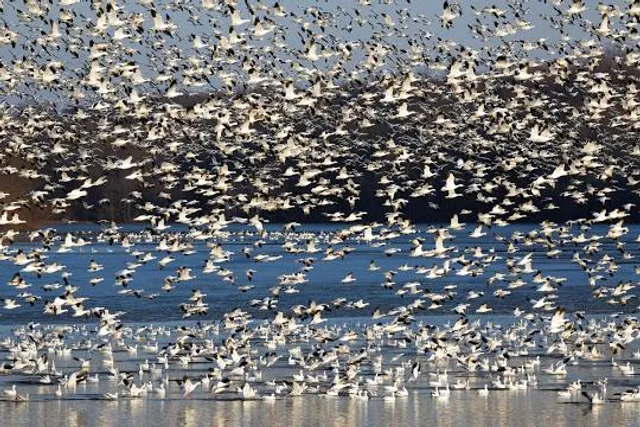 Turtle Mountain Provincial Park