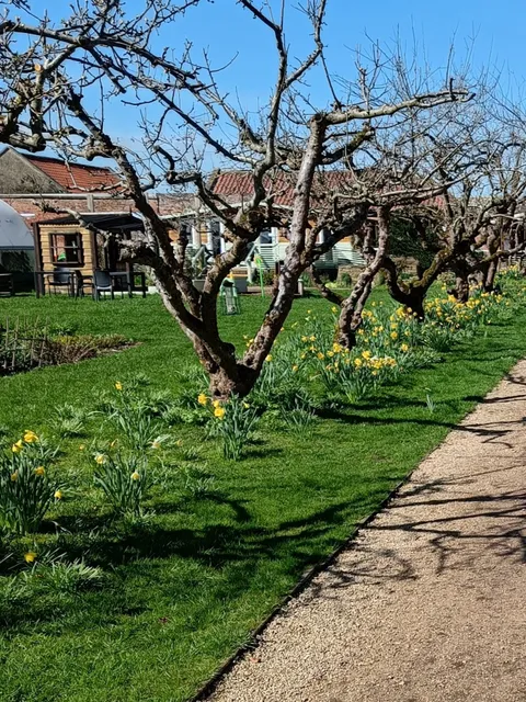 Ripon Walled Garden