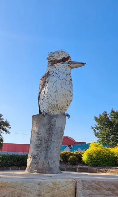 The Big Kookaburra