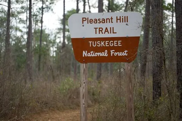Tuskegee National Forest