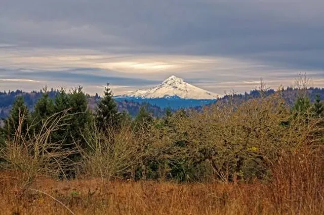 Powell Butte
