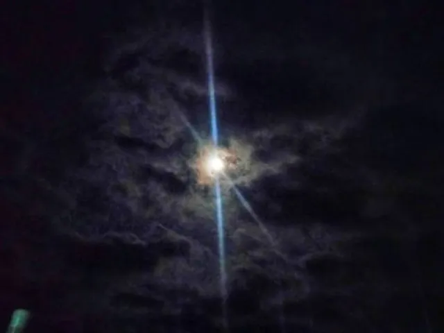 Moonee Valley Racing Club