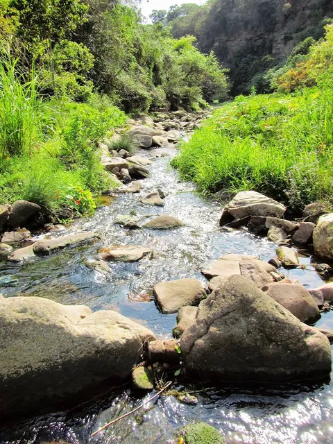 Palmiet Nature Reserve