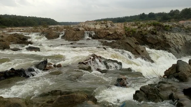 photo-3