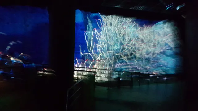 Abyss Explorer à Vulcania