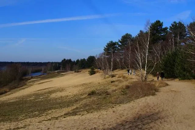 National Park De Maasduinen