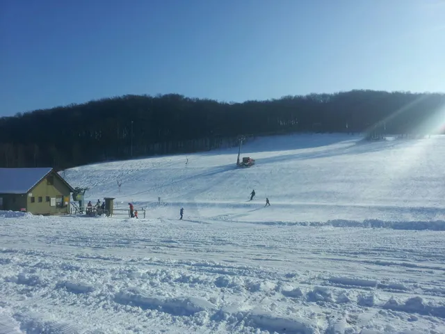 Waldskilift Schnittlingen