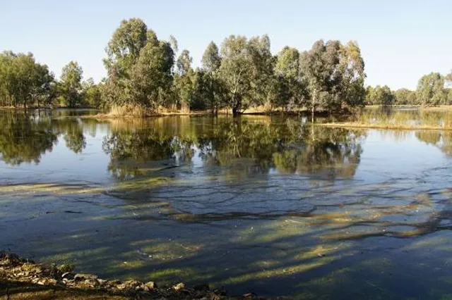 Wonga Wetlands