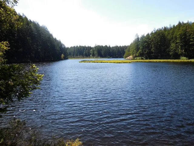 Little Cranberry Lake, Washington