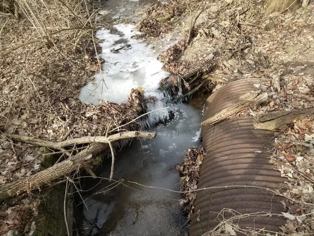 photo-1