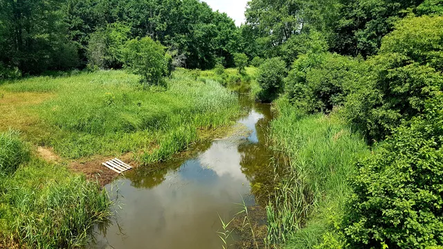 Ostoja żubrów Kosy Most