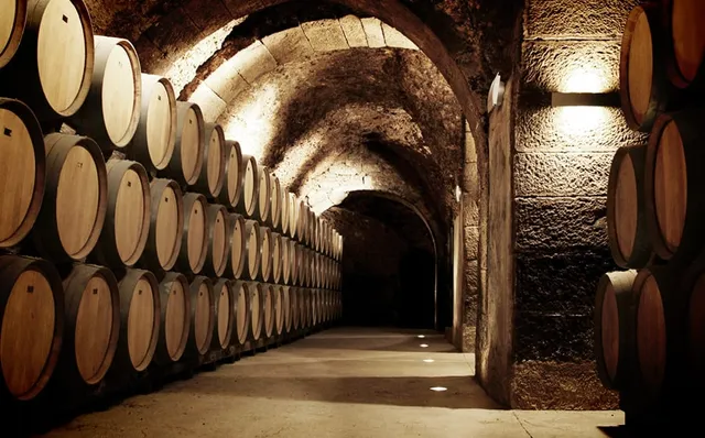 Bodegas Casa Primicia SA