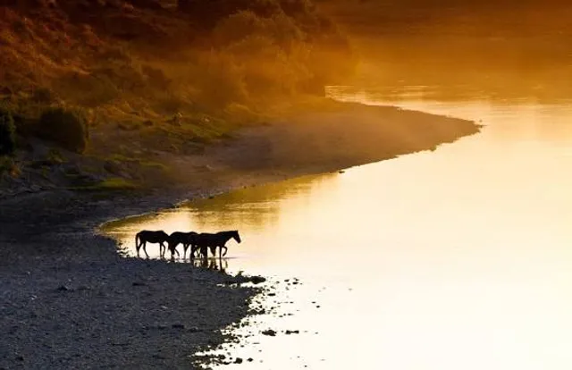 Strouds Run State Park