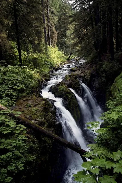 Sol Duc Falls