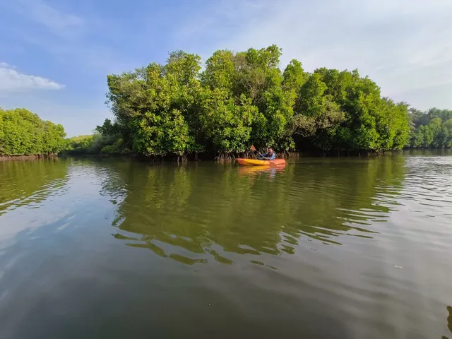 Zone 51 Kodi Kayak Point