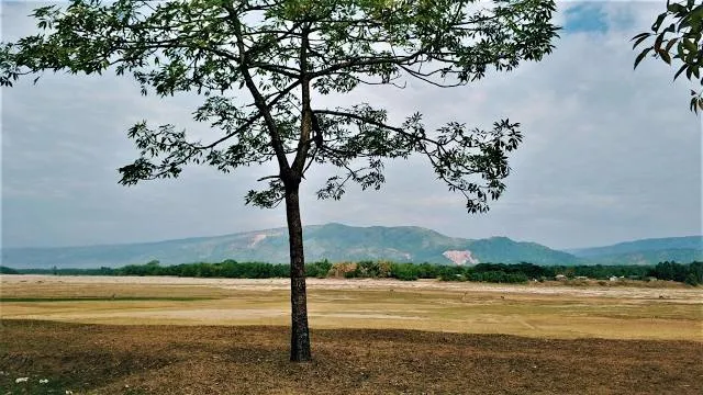 Joynal Abedin Shimul Garden