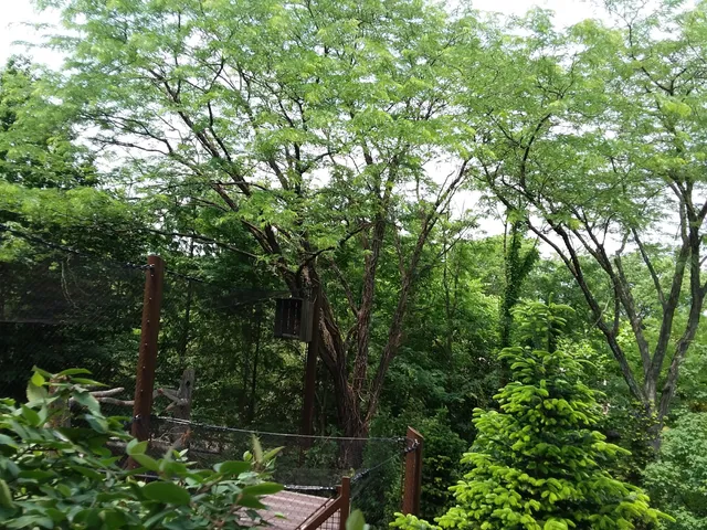 photo-2