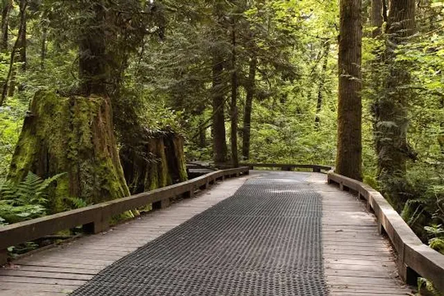 Surrey Nature Centre